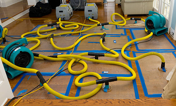 Professional Basement Flood Cleanup technician working in Excelsior, MN